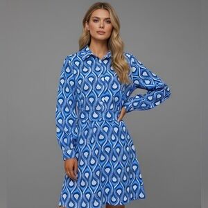 Blue and White Print Shirt Dress